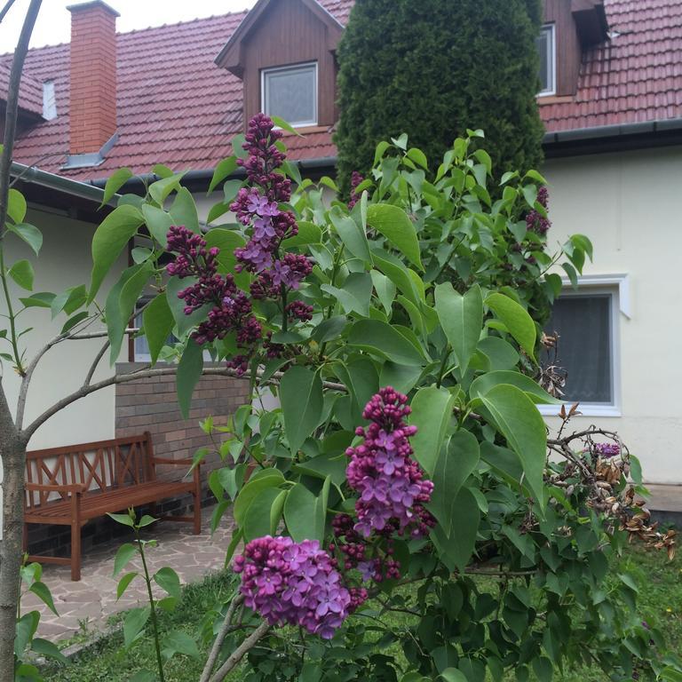 Appartamento Harmonia Panzio Bogács Esterno foto